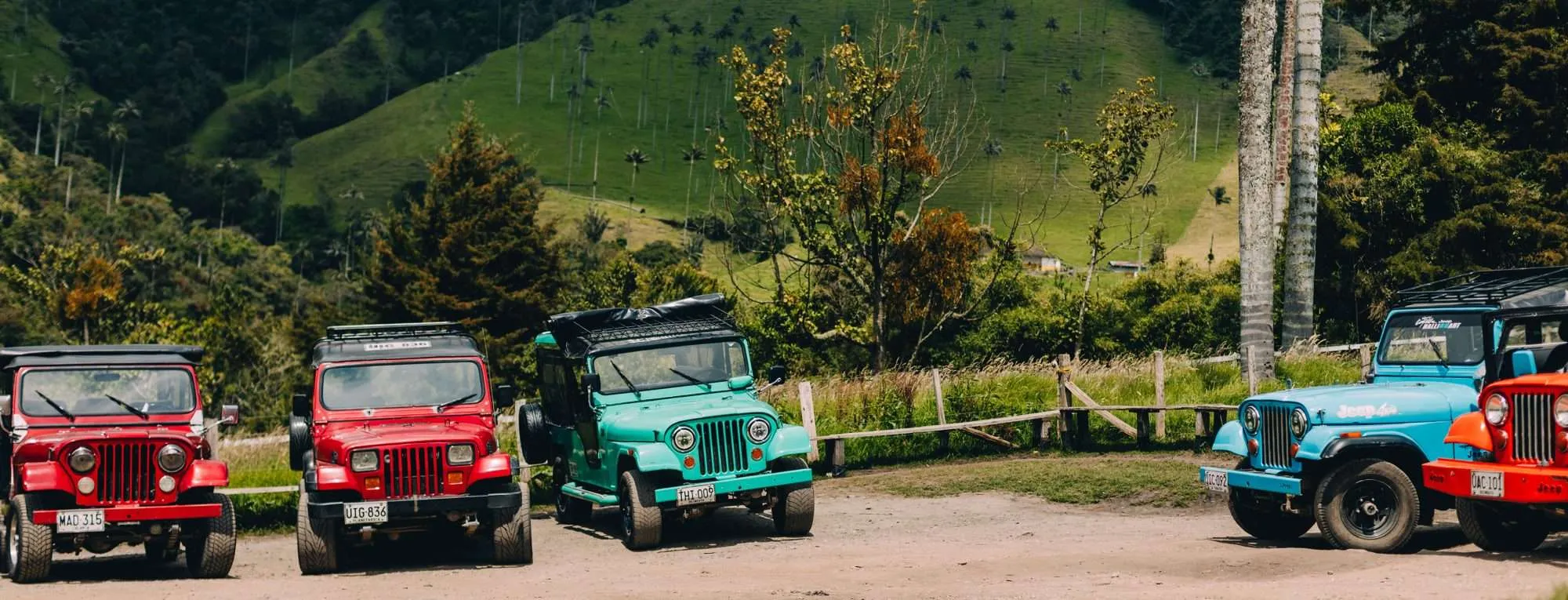 RUNT Vehicle Records in Colombia